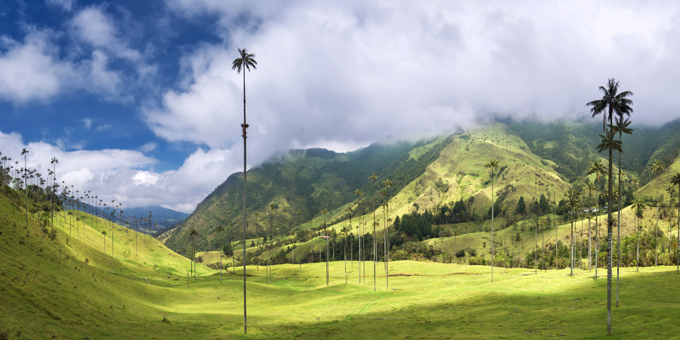 colombia - colombia_salento_cocoradalen_01