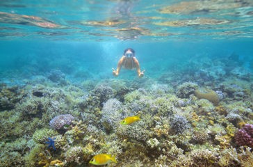 thailand - koh kradan_dykning_01