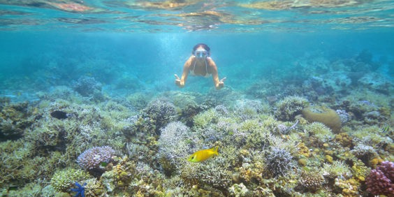 thailand - koh kradan_dykning_01