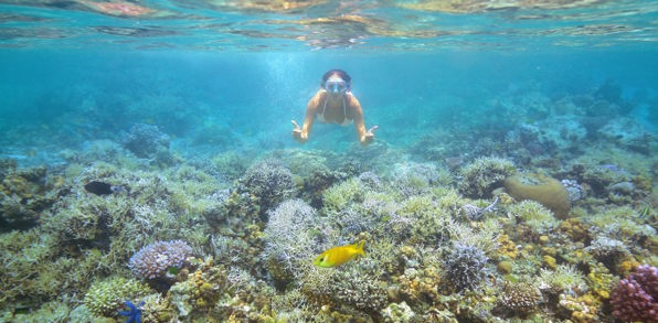 Koh Kradan snorkling