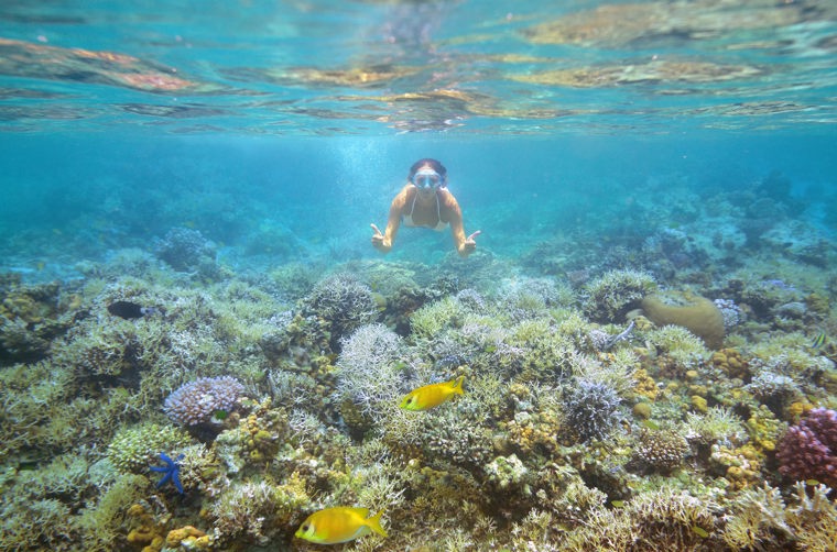 thailand - koh kradan_dykning_01