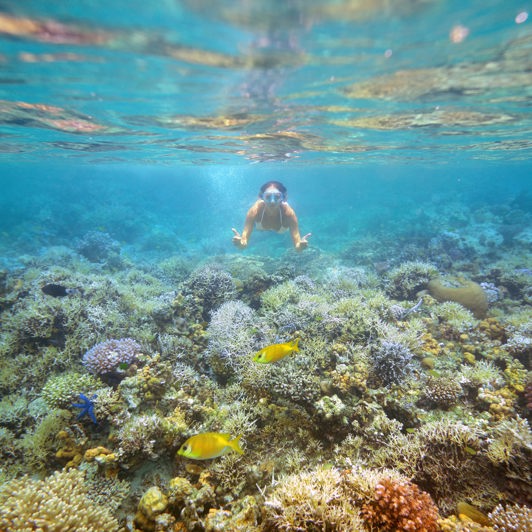 Revet ved Koh Kradan