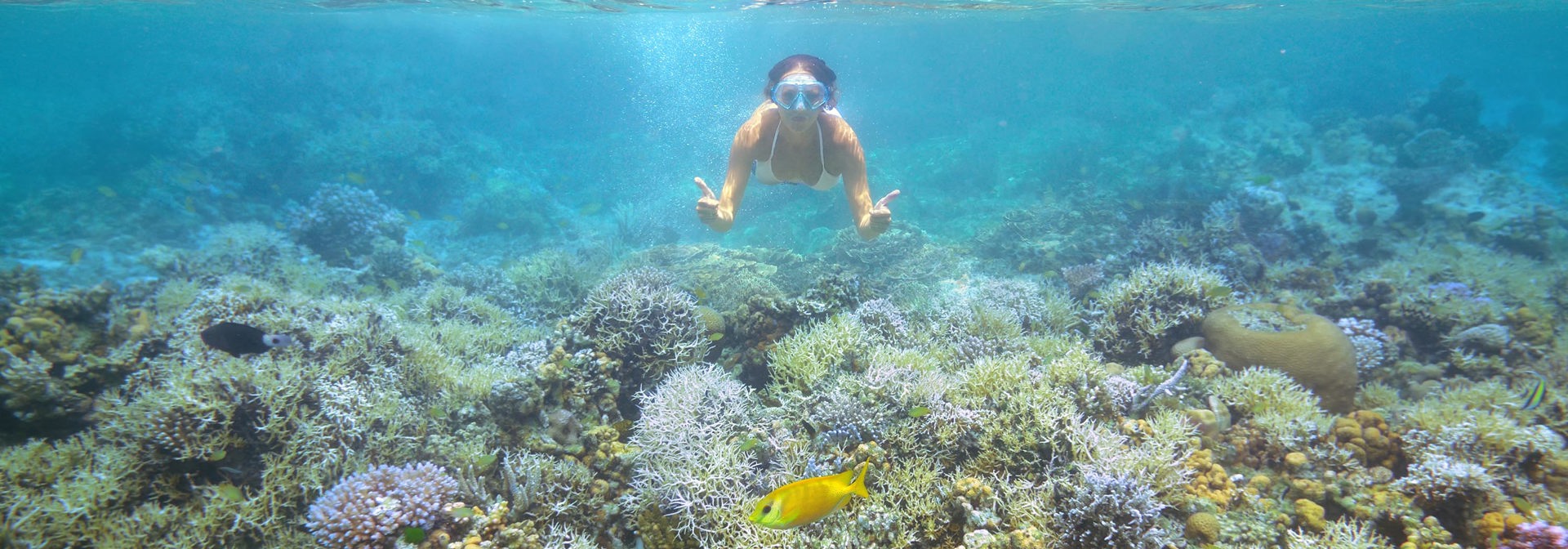 thailand - koh kradan_dykning_01