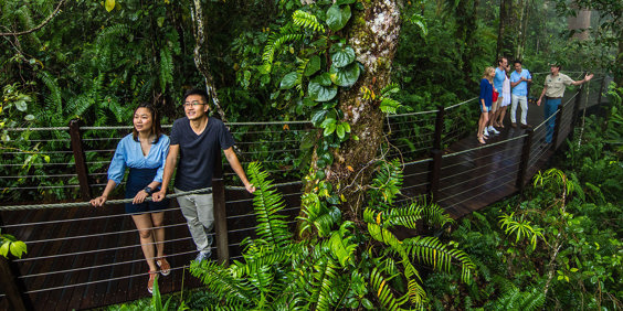 australien - kuranda_red peak boardwalk_01