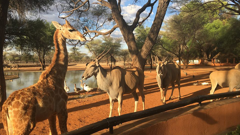 Omaruru game lodge_02