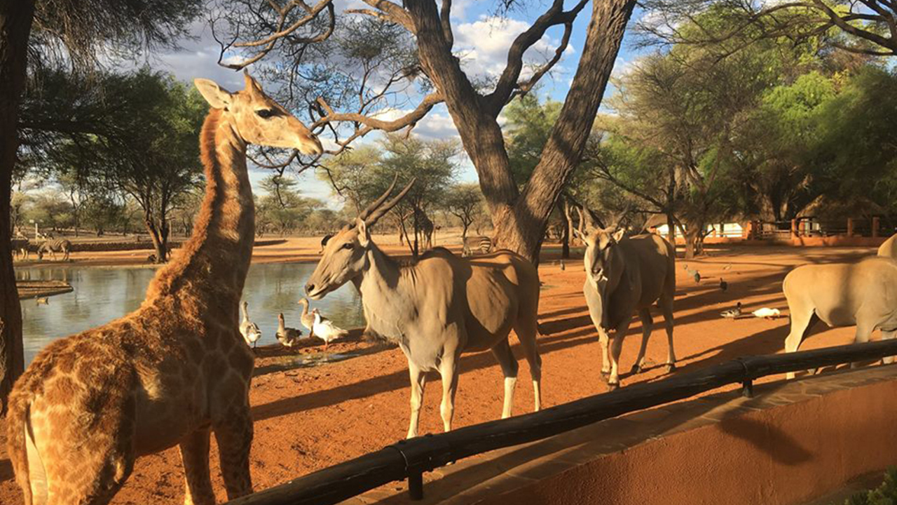 Omaruru game lodge_02