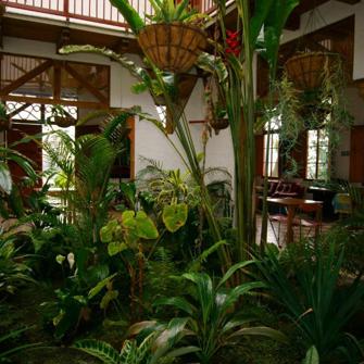 Hotel Terrazas De Salento Indenfor