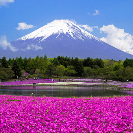 japan - mount fuji_lake kawaguchi_02