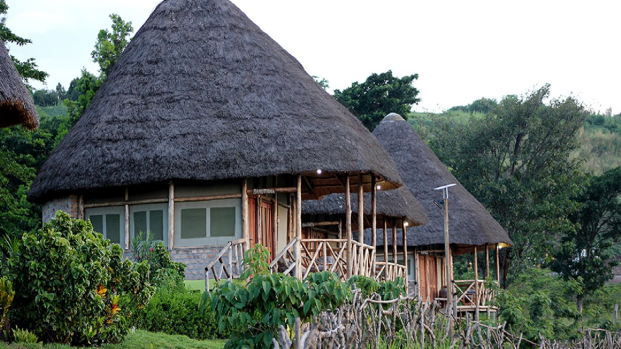 Elephant Hab Lodge 6