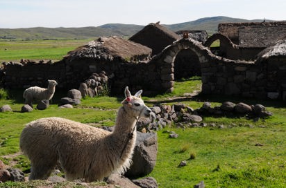 peru - sillustani_indianer bopael_01