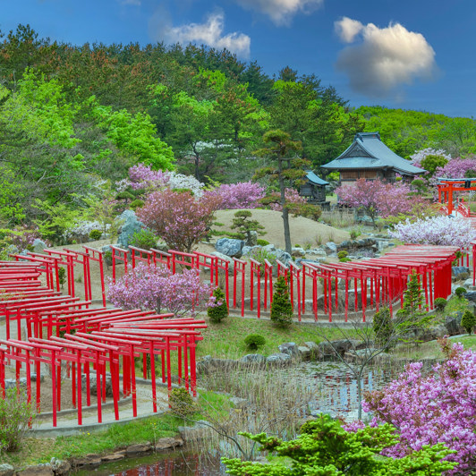 Takayama07