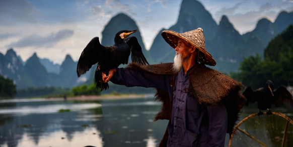 En skarvfisker i morgendisen på Li-floden