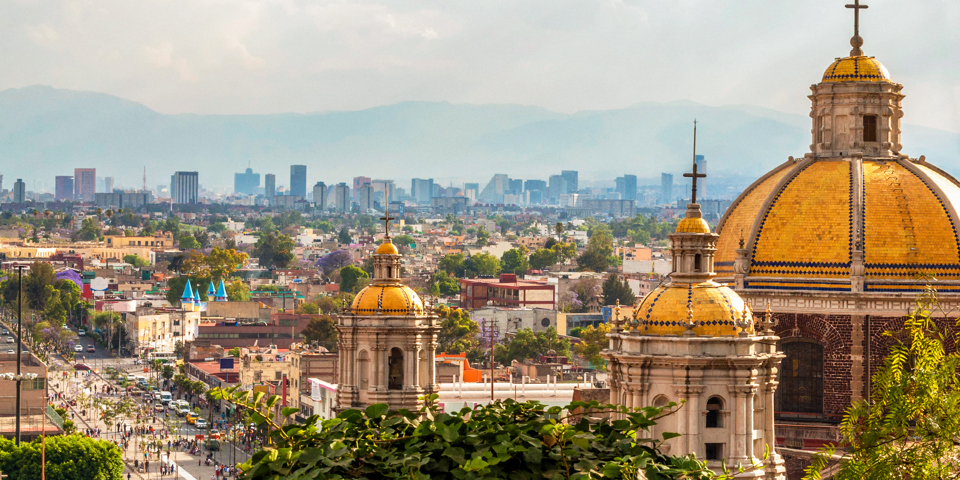 Mexico City Skyline 04 Cc