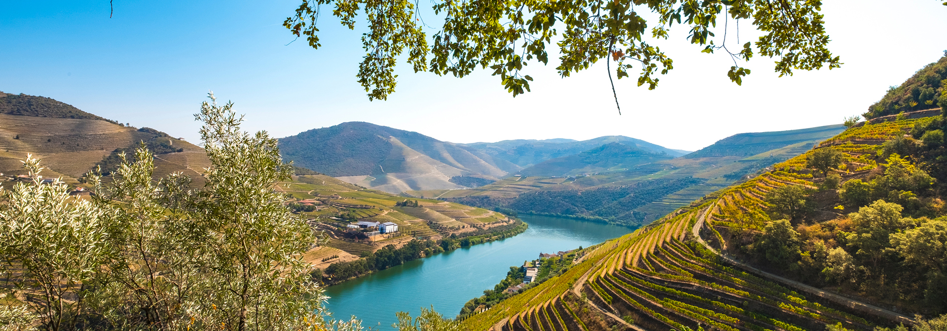 Douro Dalen_06