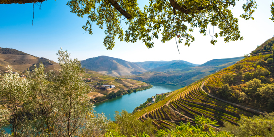 Douro Dalen_06