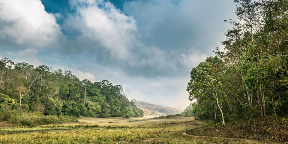 National Park Periyar Wildlife Sancturary