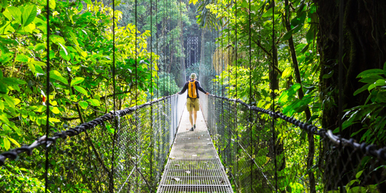 costa rica - monteverde_jungle_haengende_bro_12