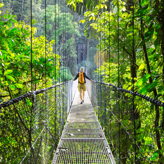 costa rica - monteverde_jungle_haengende_bro_12