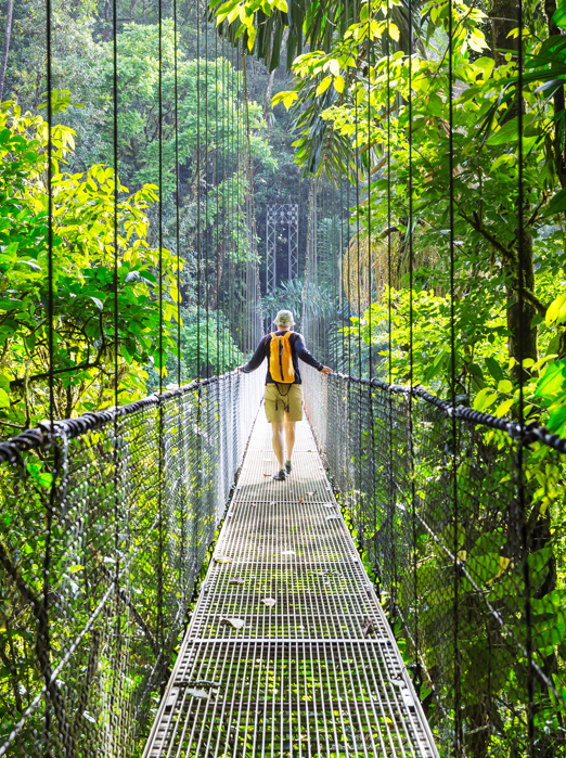 costa rica - monteverde_jungle_haengende_bro_12