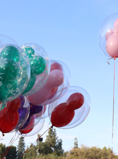 Disneyland Ballon