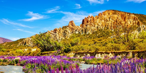 new zealand - clay cliff_blomster_01