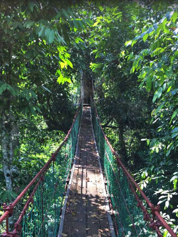 borneo rainforest lodge_haengebro_01