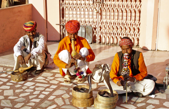 Indien - indien_slangetaemmer_01