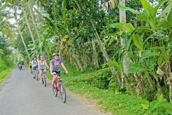 bali - gili cykeltur