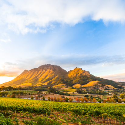 Stellenbosch_Simonsberg