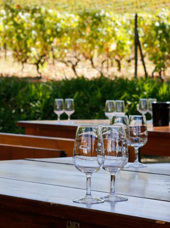 Douro dalen_vinsmagning_01