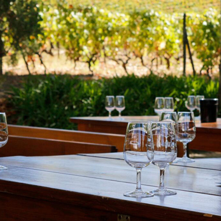 Douro dalen_vinsmagning_01