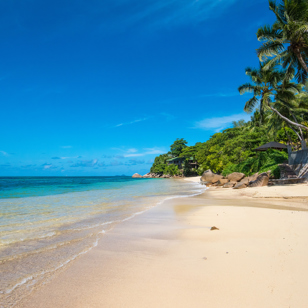 seychellerne - praslin - Coco de mer_beach_02