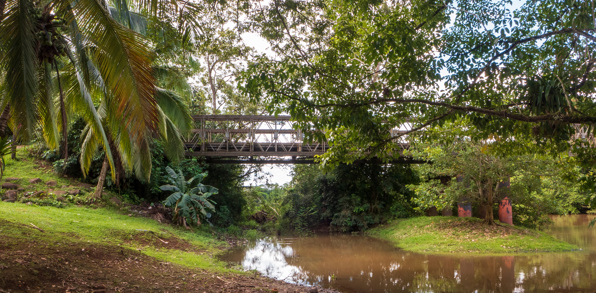 costa rica - Cano negro_wildlife reserve_02