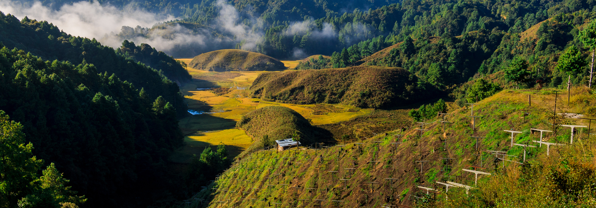 Ziro Valley Getty