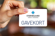 Gavekort (2)