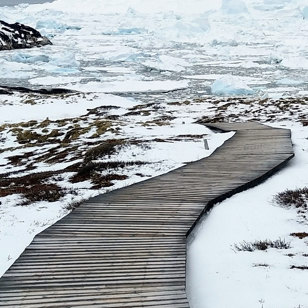 Grønland Sermermiut 2330181495