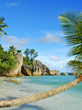 seychellerne - la digue_anse source dargent_14