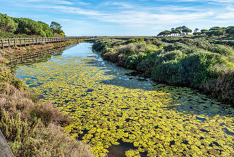 Algarve Ria Formosa 06 Shutterstock 2473217673