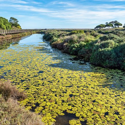 Algarve Ria Formosa 06 Shutterstock 2473217673
