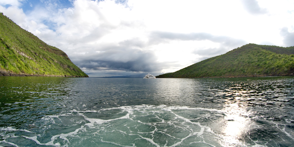 Galapagos_Isabela_Tagus Cove_01