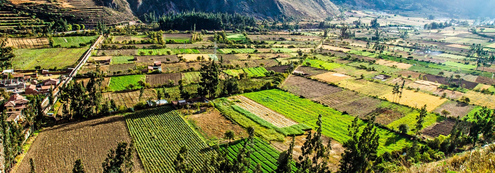 peru - pisac_den hellige dal_valle sagrado_01