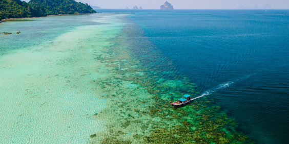 Koh Kradan Rev 2422024087