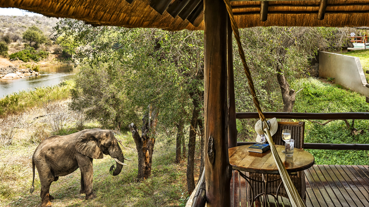 Nyati Safari Lodge River Bungalows 08