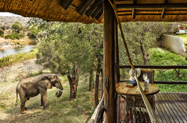 Nyati Safari Lodge River Bungalows 08