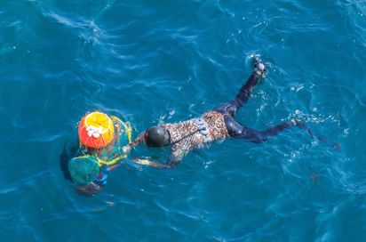 Jeju Haenyeo Fiskeri 2255215731