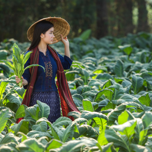 laos - luang prabang_land farm_03
