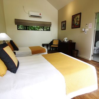 Rainforest Lodge værelse