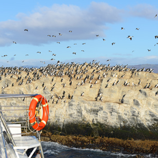 argentina - beagle channel_04