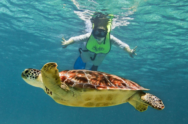 costa rica - snorkeling manuel antonio_02