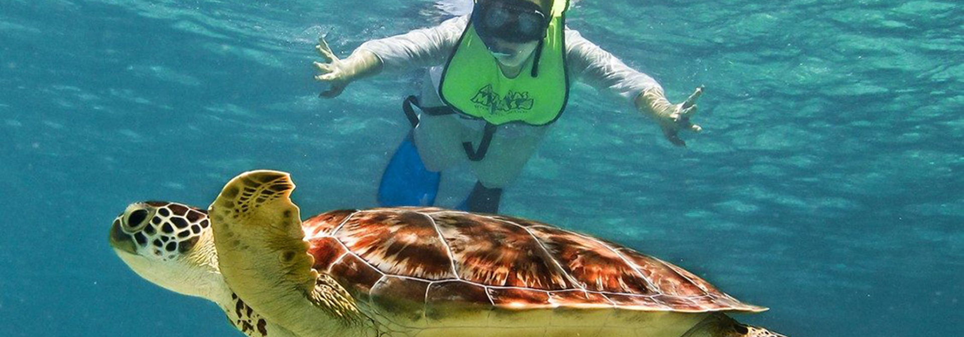 costa rica - snorkeling manuel antonio_02